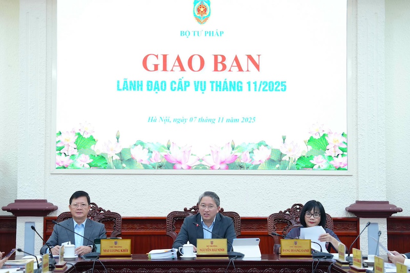 Triển khai các công việc đảm bảo chất lượng, tiến độ